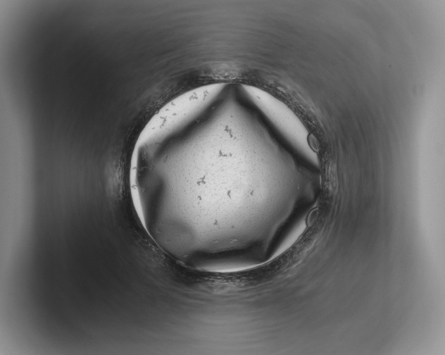 X0000101710697200807311452