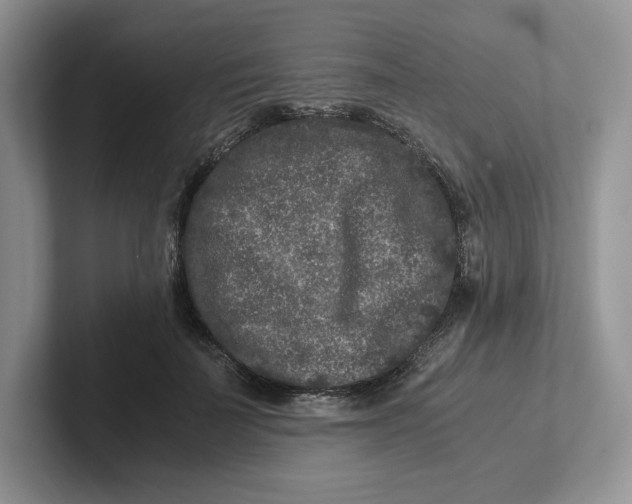 X0000101710699200807311452