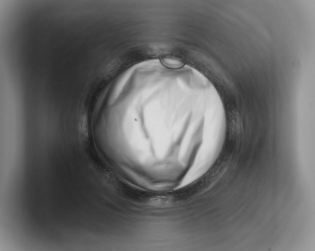 X0000101710700200807311452