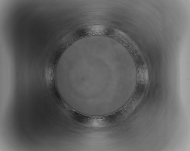 X0000101710701200807311452