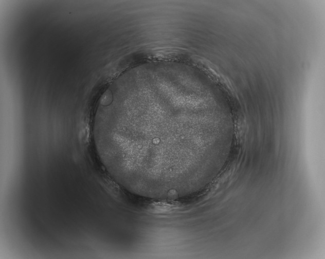 X0000101710703200807311452