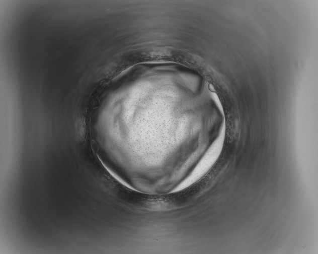 X0000101710704200807311452