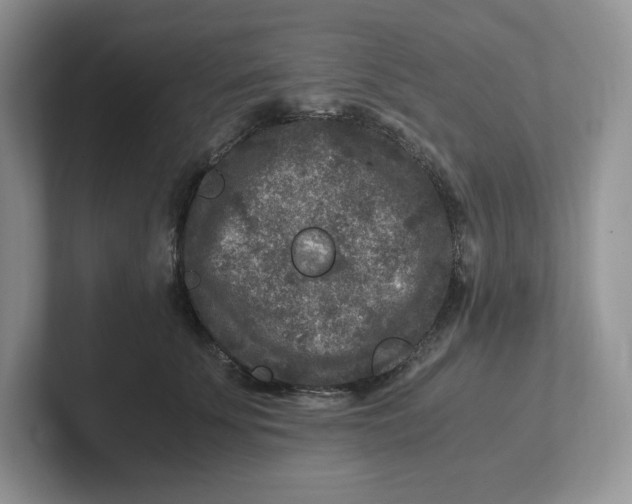 X0000101710707200807311452