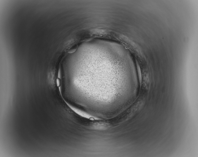 X0000101710708200807311452