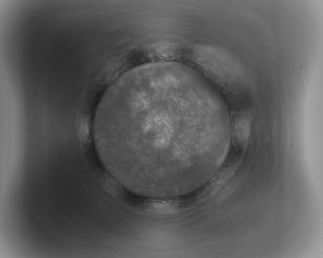 X0000101710709200807311452