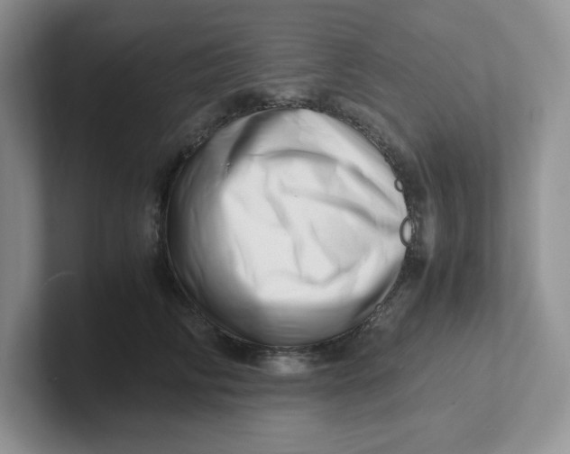 X0000101710710200807311452