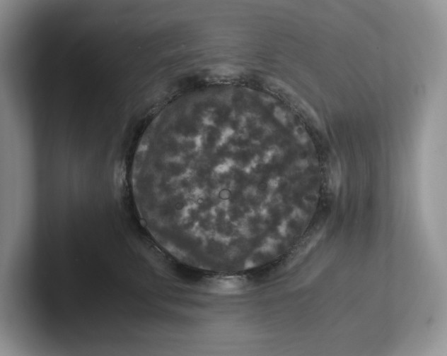 X0000101710711200807311452