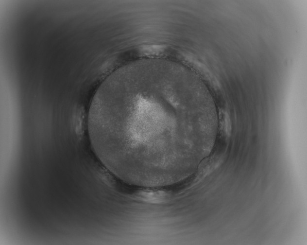 X0000101710712200807311452