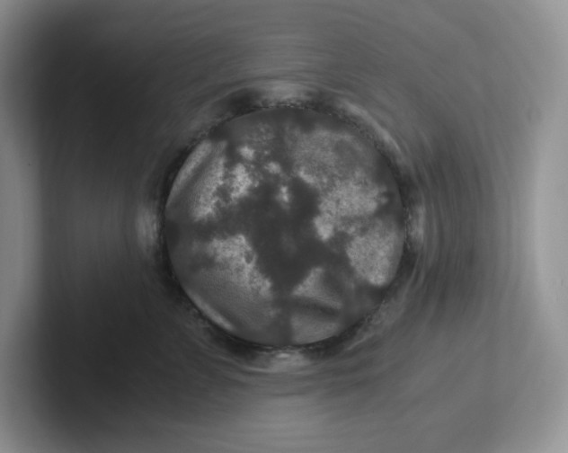 X0000101710715200807311452