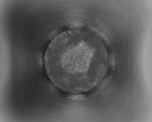 X0000101710716200807311452