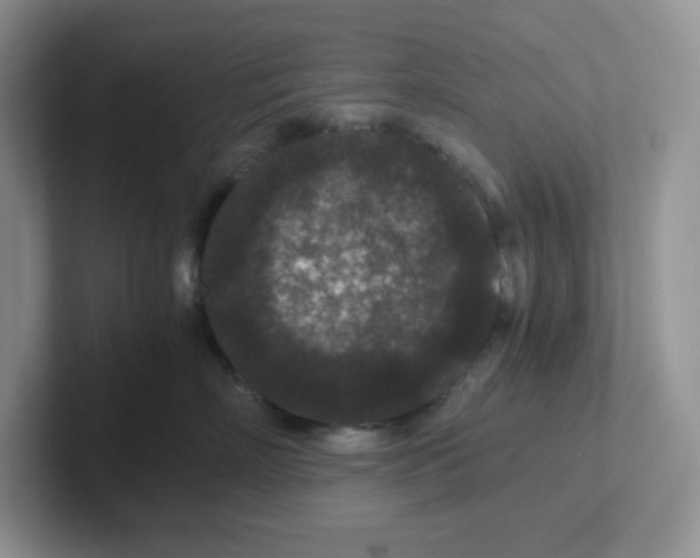 X0000101710718200807311452