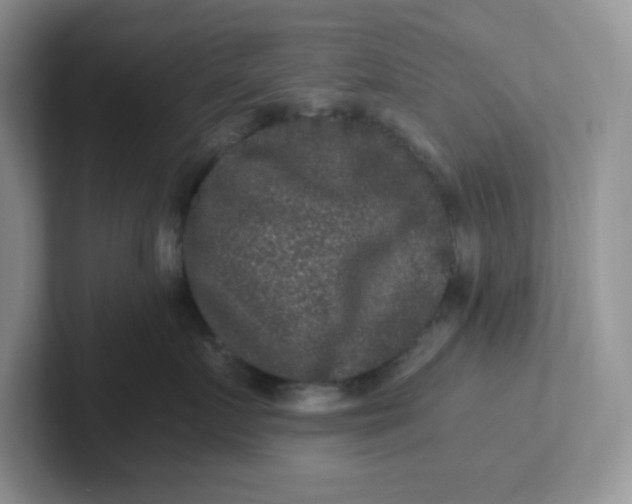 X0000101710719200807311452