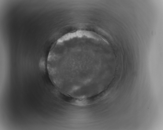 X0000101710720200807311452