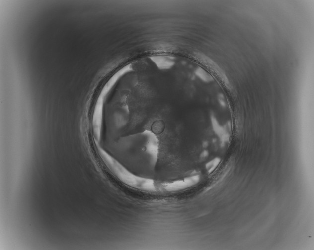 X0000101710721200807311451