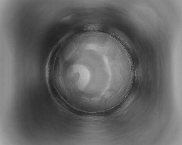 X0000101710722200807311451