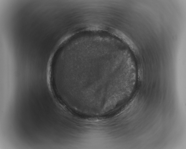 X0000101710724200807311451