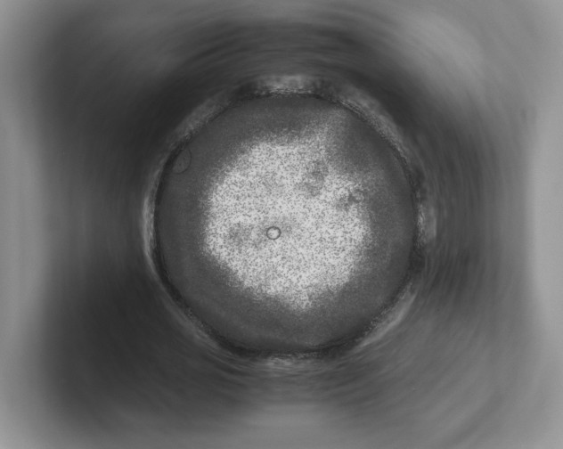 X0000101710725200807311451