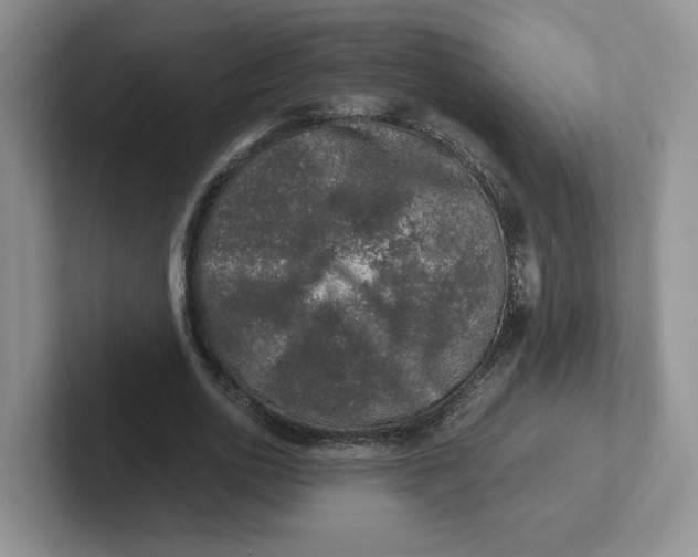 X0000101710726200807311451