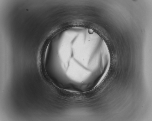 X0000101710727200807311451