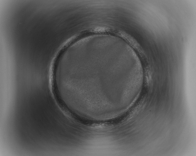 X0000101710728200807311451