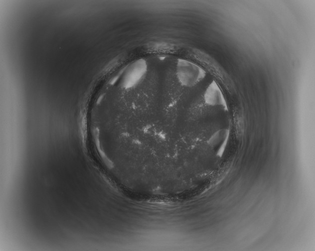 X0000101710729200807311451