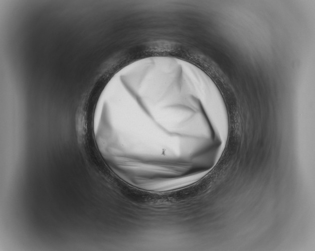 X0000101710731200807311451