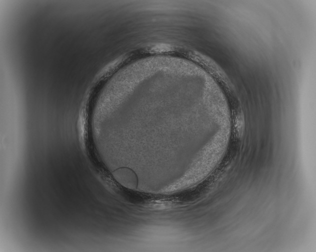 X0000101710732200807311451