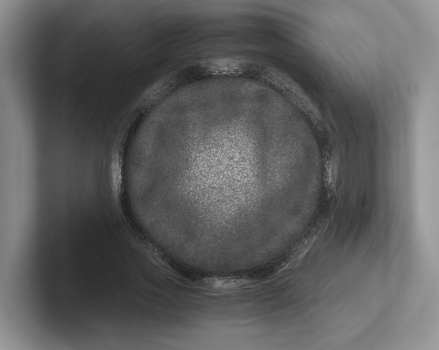 X0000101710733200807311451