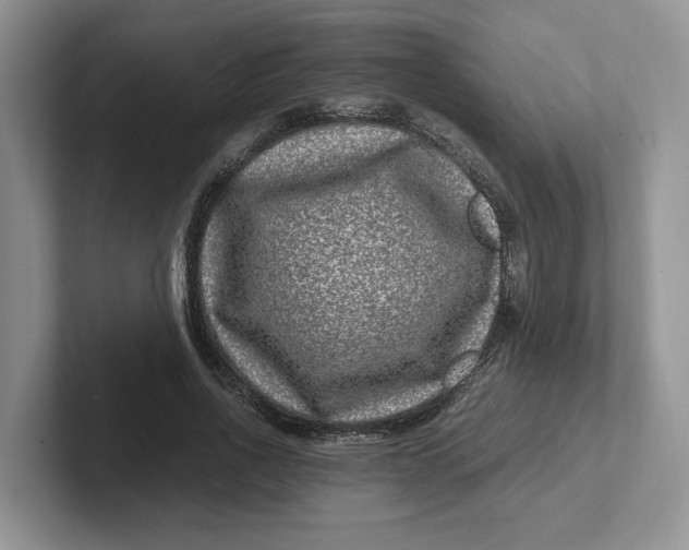 X0000101710734200807311451