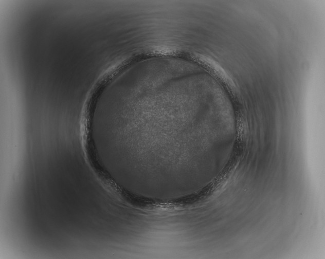 X0000101710736200807311451