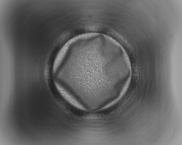 X0000101710738200807311451