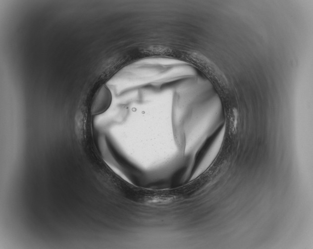 X0000101710739200807311451