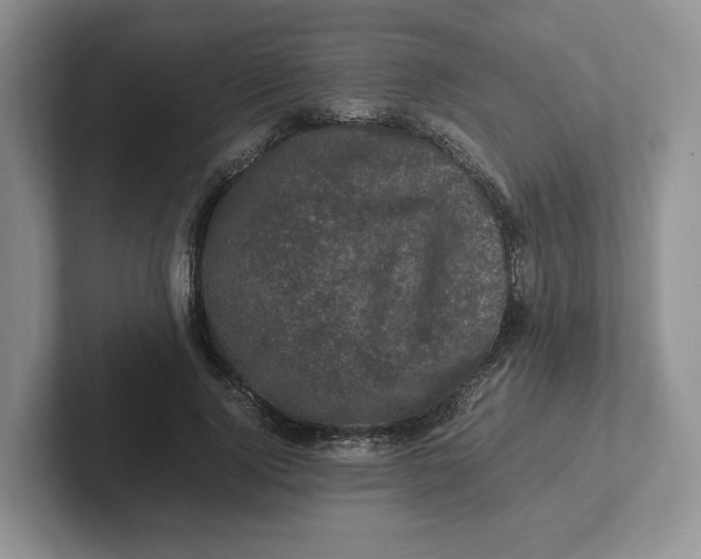 X0000101710740200807311451