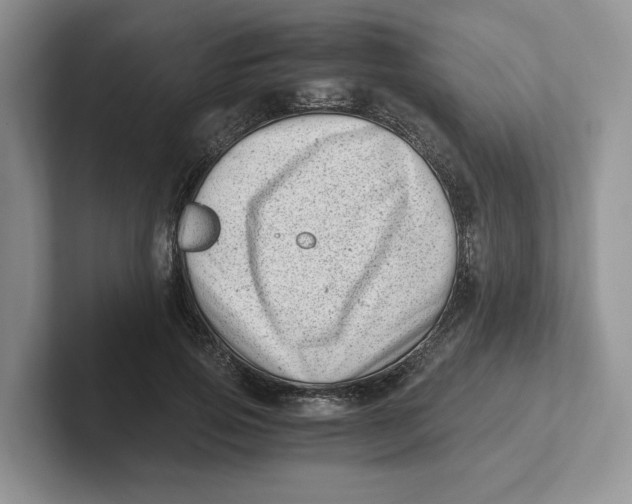 X0000101710741200807311451