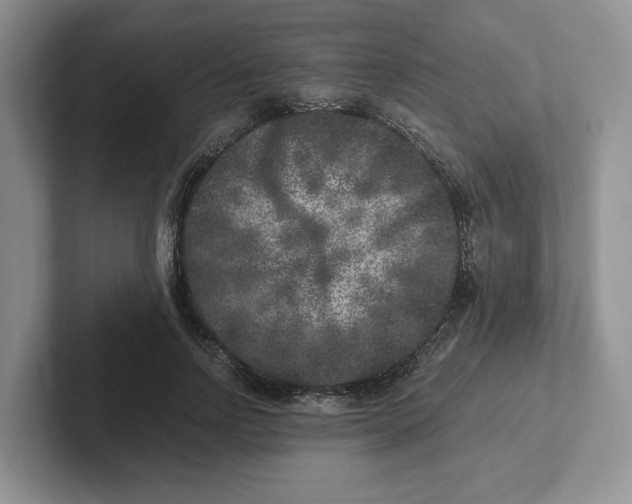 X0000101710742200807311451