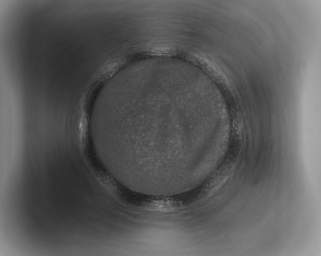 X0000101710744200807311451