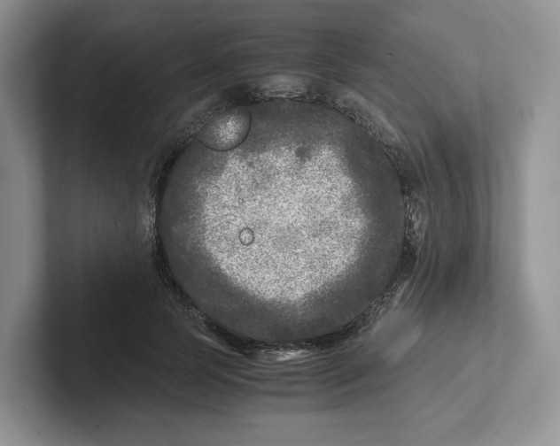 X0000101710745200807311451