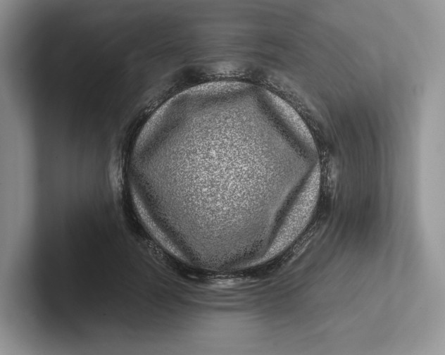 X0000101710746200807311451