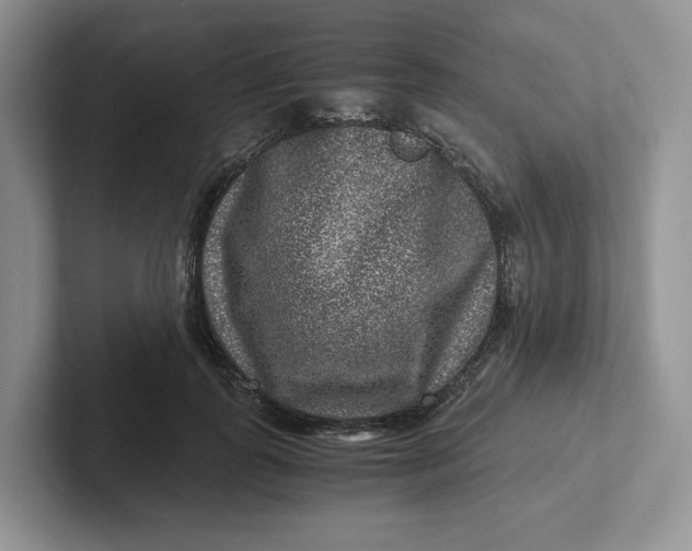 X0000101710747200807311451