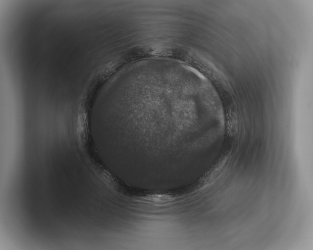 X0000101710748200807311451