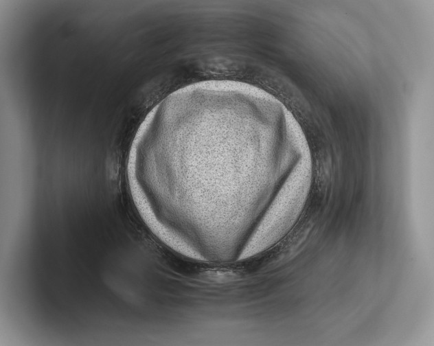 X0000101710749200807311451