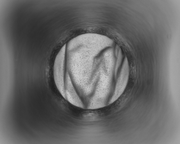 X0000101710750200807311451