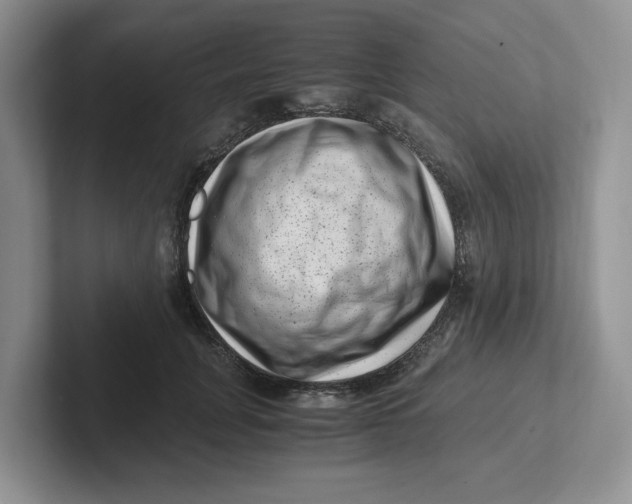 X0000101710751200807311451