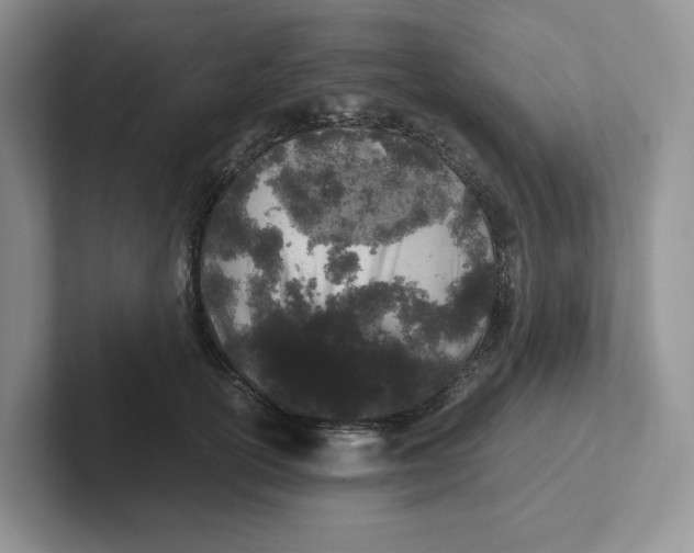 X0000101710754200807311451