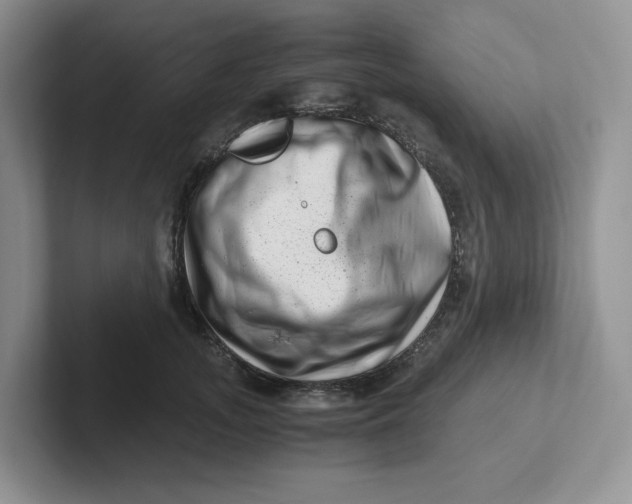 X0000101710755200807311451