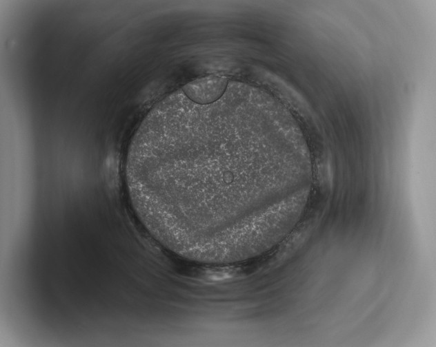 X0000101710757200807311451