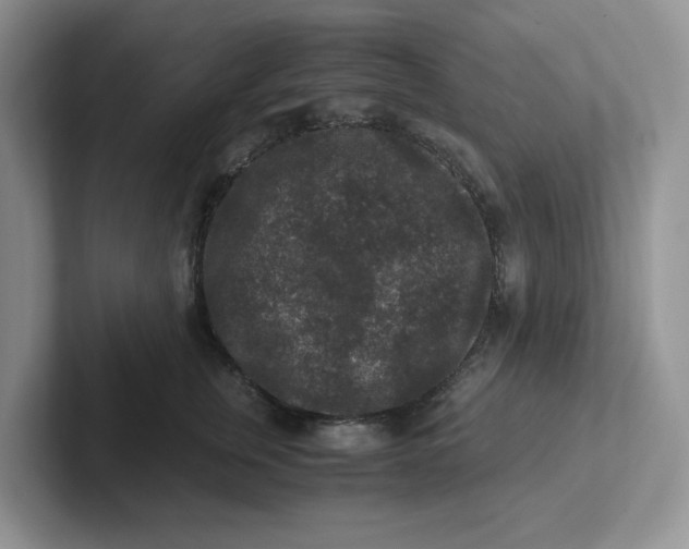 X0000101710759200807311451