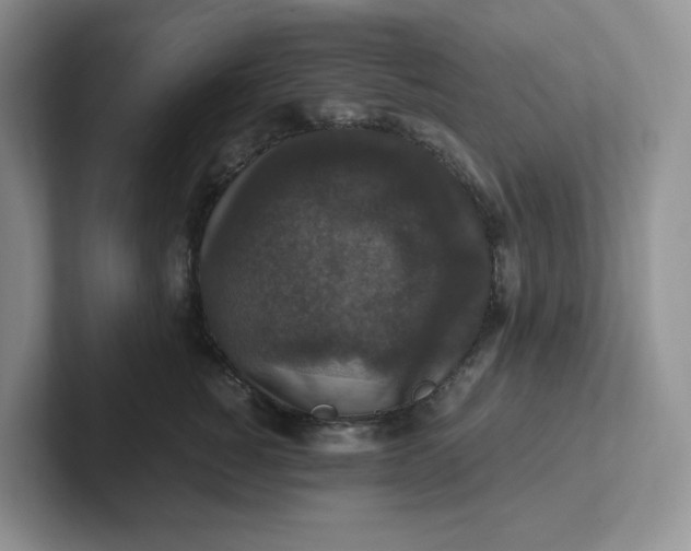 X0000101710760200807311452