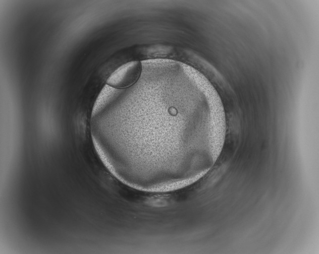 X0000101710761200807311452