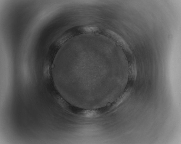 X0000101710762200807311452